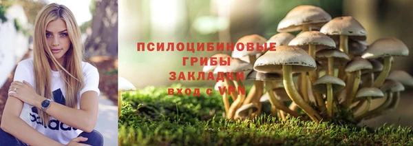 ECSTASY Протвино