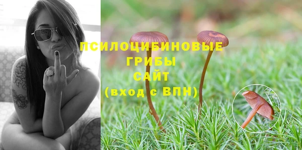 стафф Абаза